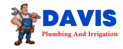 Trusted plumber in LAGUNA PARK